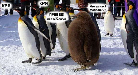 ���� ���� �� ���...